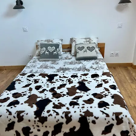 Sainte Claire Duplex Gare-lac 4e Etage 4ou6 Personnes * Annecy